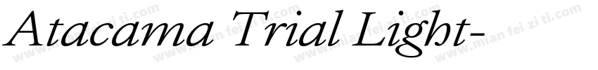 Atacama Trial Light字体转换